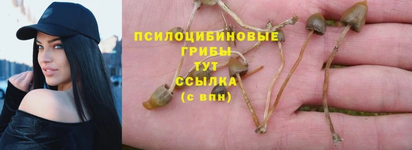 гидропоника Усмань