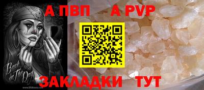 шишки Абакан