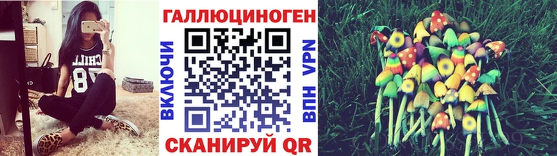 kraken   Чита  Псилоцибиновые грибы GOLDEN TEACHER 