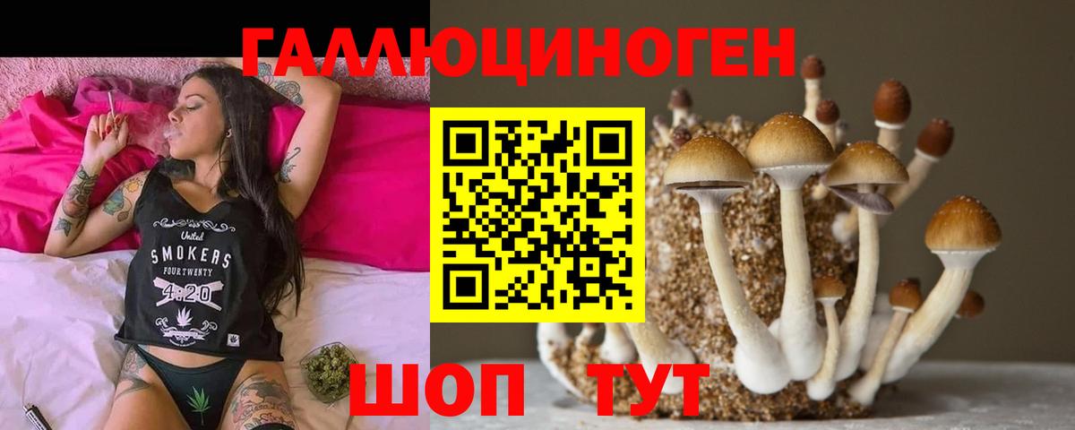 Псилоцибиновые грибы мухоморы Чита